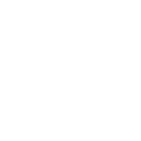 Experienced Professionals